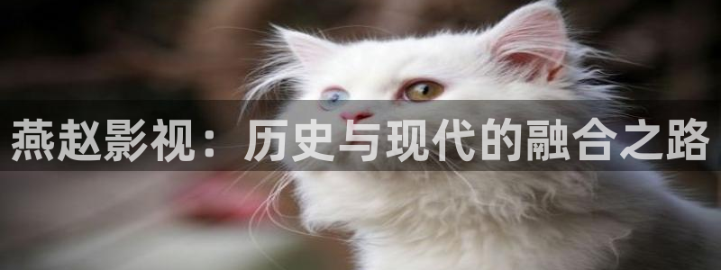 长安十二时辰策驰影院