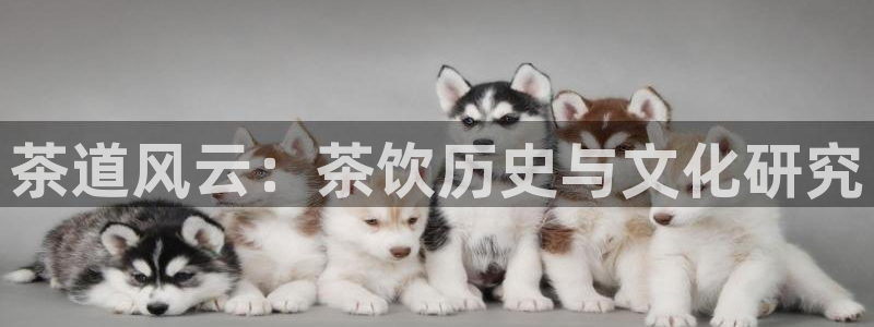 潜伏策驰影院免费观看