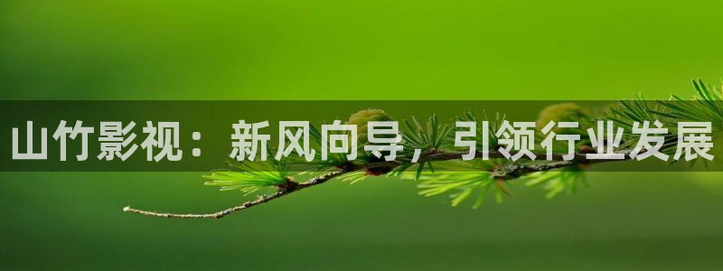 策驰在线观看影院